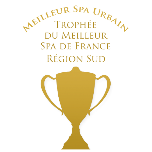 logo trophee region sud